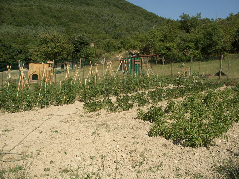 Orto Biologico Urbania